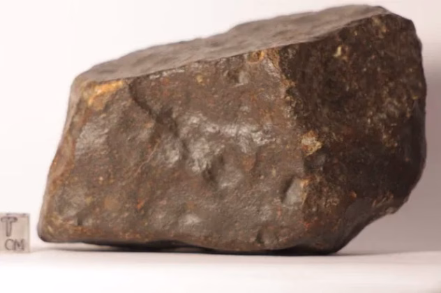 Marssilt pärinev meteoriit NWA 16788