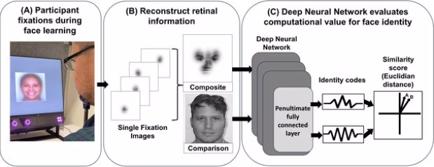 Tehisintellekti ja näotuvastuse tehnoloogia illustratsioon