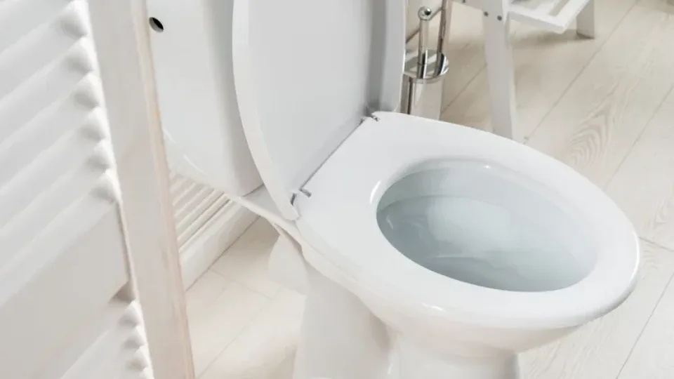 Šokkeerivalt puhas WC ilma nühkimise ja keemiata