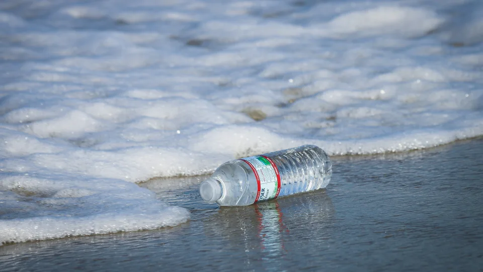 Uus šokeeriv uuring: pisut plastikut, surm hiidloomadele