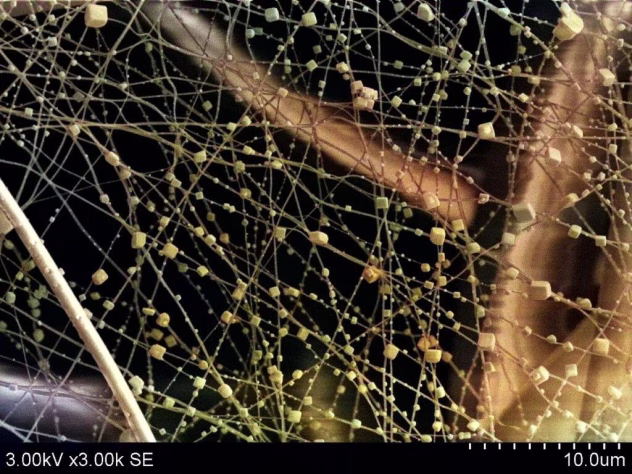 Biopolümeeride kasutamine õhufiltrites