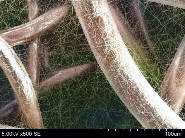 Tarbijate teadlikkus ja tootjate vastutus