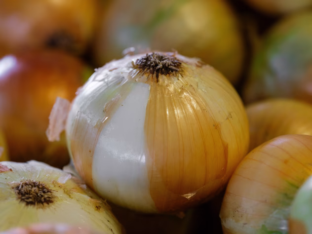 Sibulakoore tõmmis taimede turgutamiseks