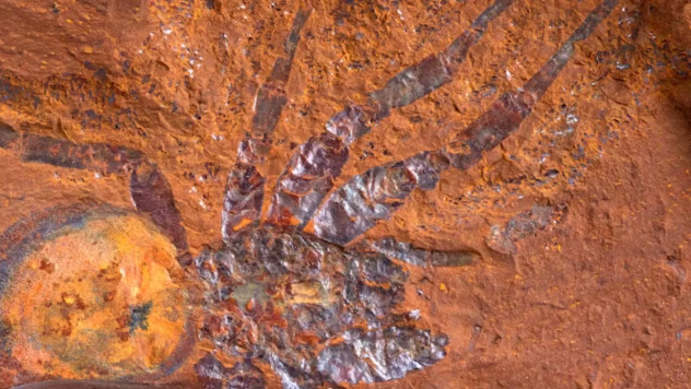 Jäljerajad, mis meenutavad eelajaloolist kiirteed