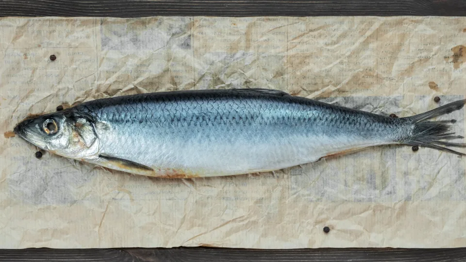 Uus piduroog, mis üllatab isegi vanaema