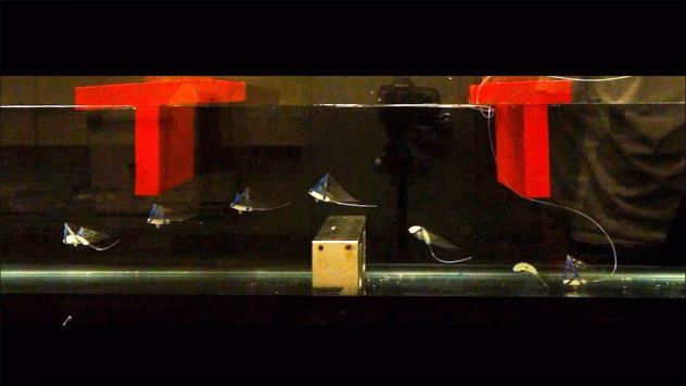 Pehme robot kontrollitud katsebasseinis