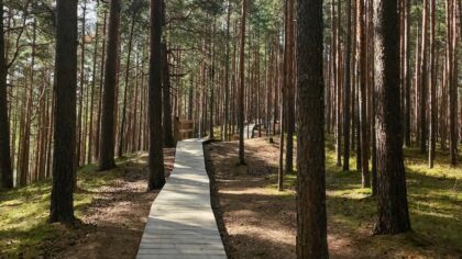Eesti loodusradade uus argipäev: mida matkahuviline peaks enne metsa minekut arvestama
