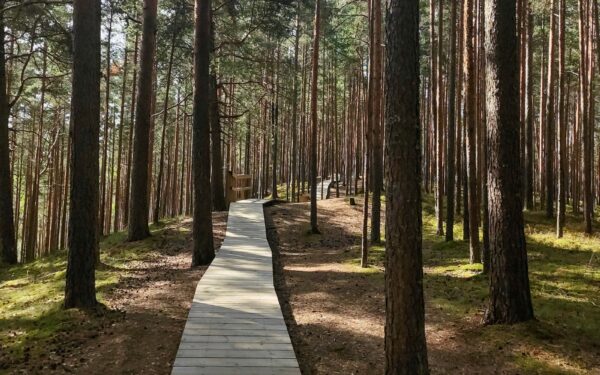 Eesti loodusradade uus argipäev: mida matkahuviline peaks enne metsa minekut arvestama