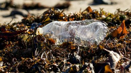 Mikroplast kosmosest kuni meie taldrikule: mis juhtub, kui plast satub ookeani ja toiduahelasse