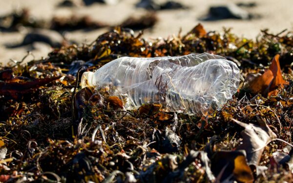 Mikroplast kosmosest kuni meie taldrikule: mis juhtub, kui plast satub ookeani ja toiduahelasse