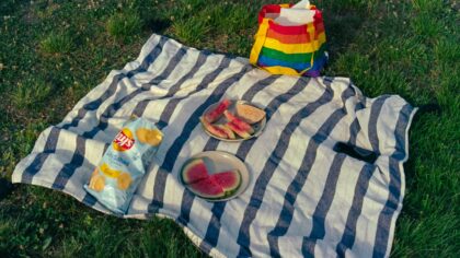 Piknik argipäeva rütmis: ideed rahulikeks väljasõitudeks parki, randa ja koduhoovi